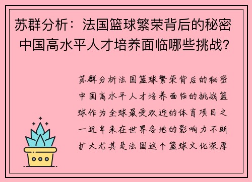 苏群分析：法国篮球繁荣背后的秘密 中国高水平人才培养面临哪些挑战？