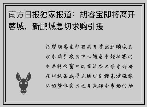 南方日报独家报道：胡睿宝即将离开蓉城，新鹏城急切求购引援